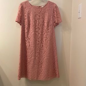 LOFT Lacey pink dress. Size 6